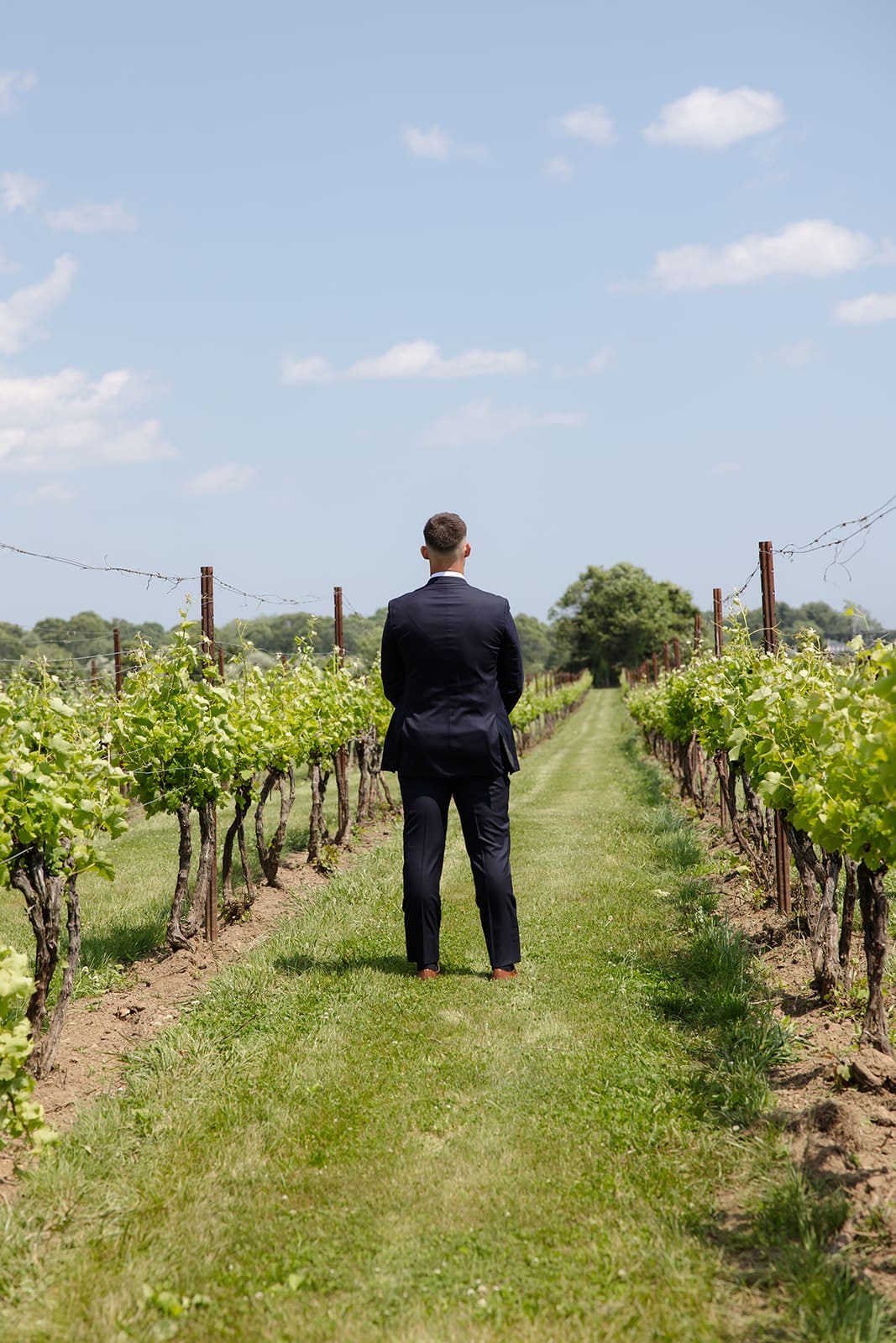 Groom waiting between vineyard rows before first look at a Connecticut wedding venue
