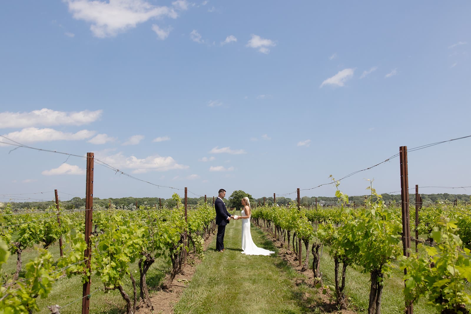 Bride and groom standing together between vineyard rows at a Connecticut wedding venue
